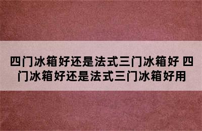 四门冰箱好还是法式三门冰箱好 四门冰箱好还是法式三门冰箱好用